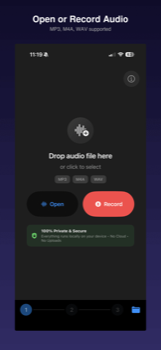 Open or Record Audio